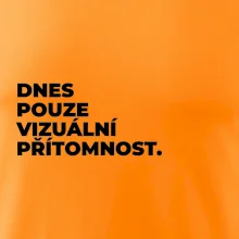 DNES POUZE VIZUÁLNÍ PŘÍTOMNOST.