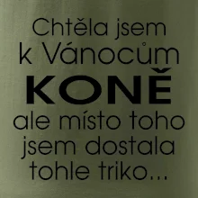 Chtěla jsem k Vánocům koně