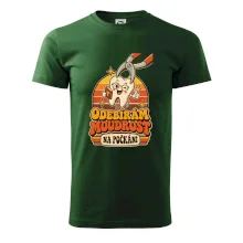 Odebírám moudrost na počkání