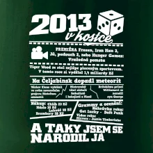 2013 v kostce
