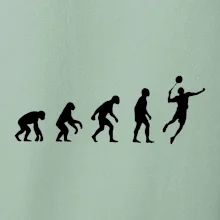 Evoluce Badminton