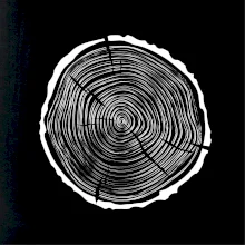 Letokruhy 40 bez věku