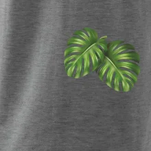 Monstera listy na prsu