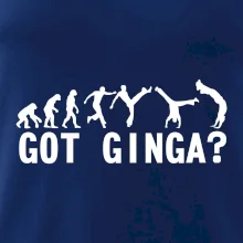 Capoeira - Got Ginga