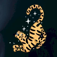 Tygr s hvězdami (studio-arte.cz)