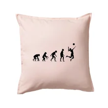 Evoluce volejbal culík