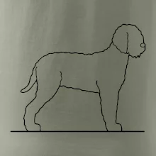 Lagotto romagnolo stojící