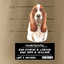 Baset - lump a darebák