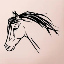 Kůň - hlava celá