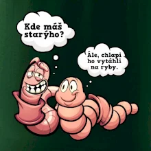 Žížaly na rybách