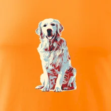 Zlatý retriever vintage