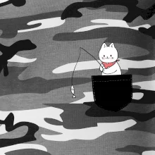 Kočka s rybou v kapse