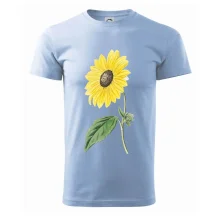 Slunečnice otočená