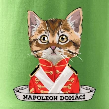 Napoleon domácí kočka
