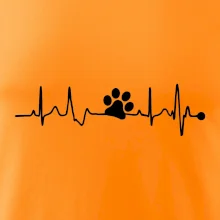 Ekg psí tlapka Ekg psí tlapka