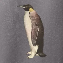 Tučňák kreslený vodovými barvami