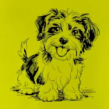 Havanský psík skica