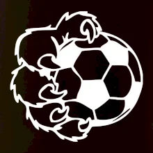 Medvědí tlapa fotbal