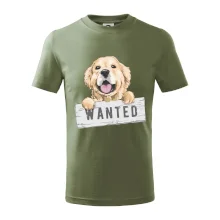 Zlatý retriever - štěně wanted