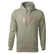 Skelet and Moscular system