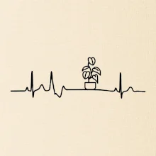 EKG Filodendron EKG Filodendron