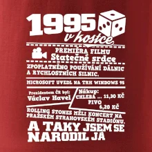 1995 v kostce