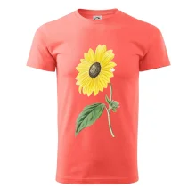 Slunečnice otočená