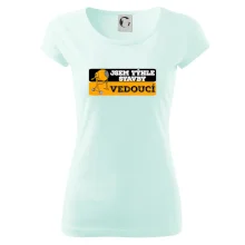 Jsem týhle stavby vedoucí