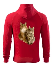 Kočky vectorizované  (Moňas)