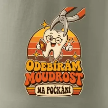 Odebírám moudrost na počkání