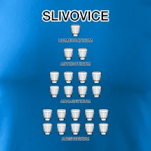 Slivovice počítání (Hana-creative)