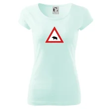 Dopravní značka - Pozor divočák