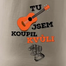 Tu kytaru jsem koupil kvůli tobě