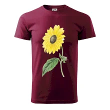 Slunečnice otočená