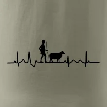 Ekg pastevec ovcí
