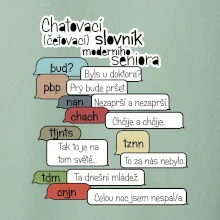 Chatovací slovník moderního seniora (Běžící češtinář)