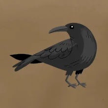 Vrána kreslená  (studio-arte.cz)