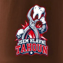 Jsem hlavní tahoun