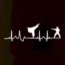 Karate EKG