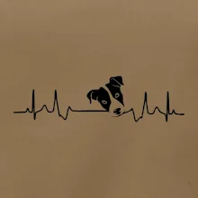 Jack Russell Terriér  - hlava