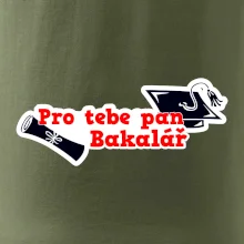 Pro tebe pan Bakalář