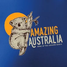 Amazing Australia koala