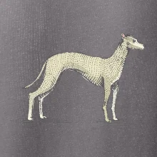 Vintage Whippet