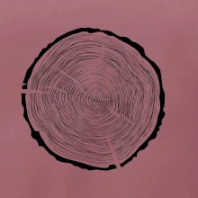 Letokruhy 60 bez věku