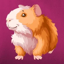 Morče - kreslené, bílo oranžové