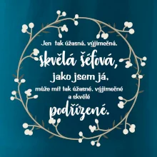 Jen tak skvělá šéfová jako jsem já