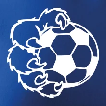 Medvědí tlapa fotbal