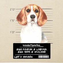 Lump a darebák bígl