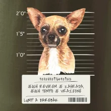 Lump a darebák čivava