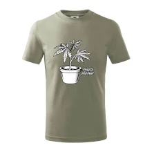 Konopi prostě pěstuju